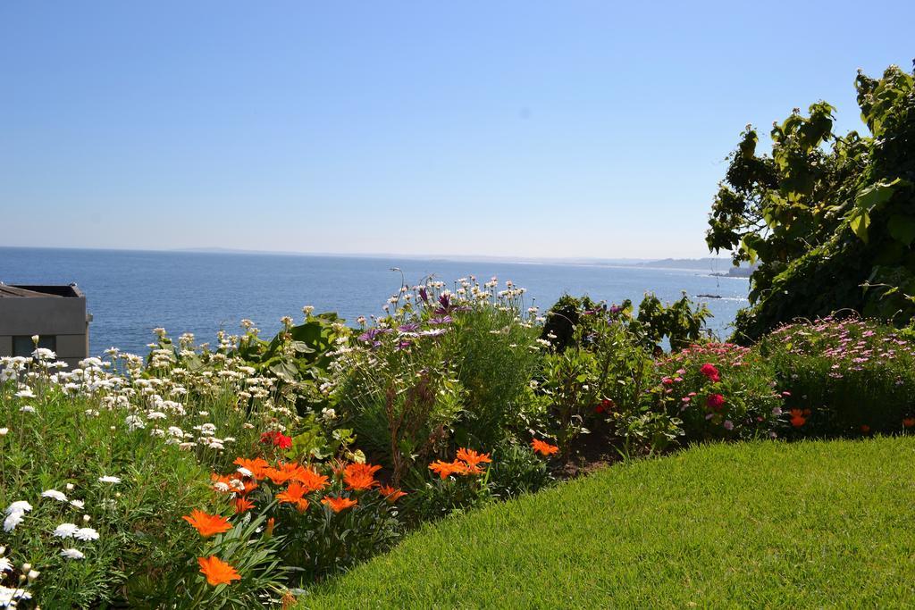 Azulpacifico Hotel Boutique Concón Zewnętrze zdjęcie